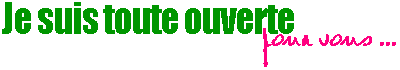 ouvertepourvous.gif (1335 octets)